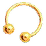 Gold Circular Barbell